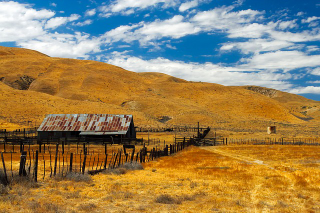 Illustration for article titled Thinking of Buying Some Land?